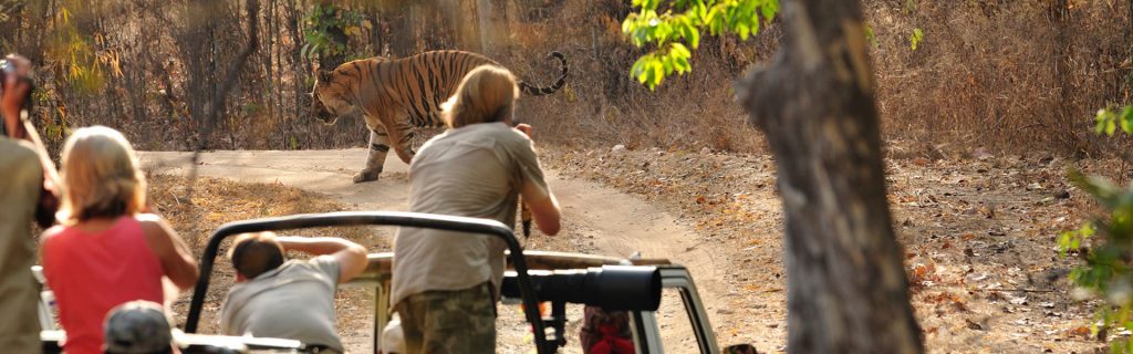 Photographic-Safari-in-India